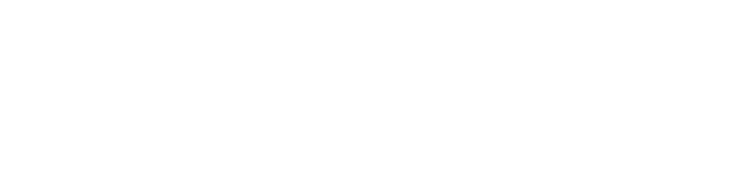 INSEN